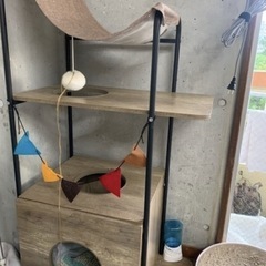 キャットタワー
の画像
