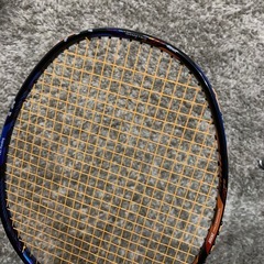 デュオラ10の画像