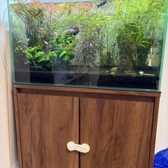 オールガラス60cm規格水槽等
の画像