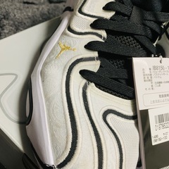 [ナイキ] テイタム 3 PF トンネルウォーク TATUM 3 PF Tunnel Walk IB8150-100 25.5cmの画像