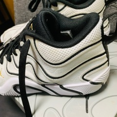 [ナイキ] テイタム 3 PF トンネルウォーク TATUM 3 PF Tunnel Walk IB8150-100 25.5cmの画像