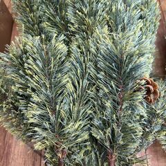 ④クリスマストイツリー120㎝ 未使用 店頭販売の画像