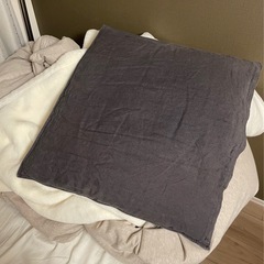 ［無印良品］座ぶとん ５５×５９ｃｍ（2枚）の画像