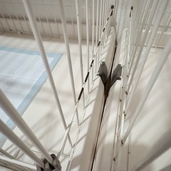 犬ゲージ　2つありますすの画像