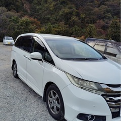 ホンダ オデッセイの画像