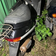 ホンダ　ディオAF27の画像