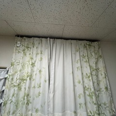 遮光 カーテン レースカーテン  グリーン リーフ 4枚セットの画像