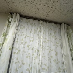 遮光 カーテン レースカーテン  グリーン リーフ 4枚セットの画像