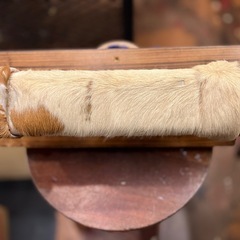 水牛 ツノ
の画像