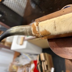 水牛 ツノ
の画像