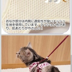 キャティーマン (CattyMan) ミーチェねこどうわ Sサイズ ジオモダン パープルの画像