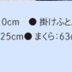 掛け布団、枕の画像