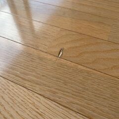 🔥新築リペア案件🔥 【秋田市】新築住宅のリペア・補修パートナー募集！ 法人・個人どちらもOK（継続依頼あり）の画像