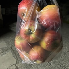 🍎【ハネだしのハネだしりんご】1袋詰め放題②の画像