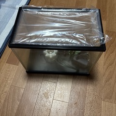 お話し中❗️水槽セットの画像