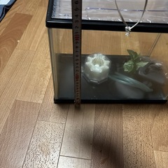 お話し中❗️水槽セットの画像