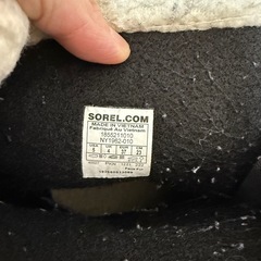 ソレル　カリブー　23cmの画像