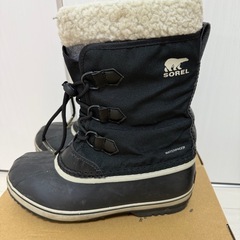 ソレル　カリブー　23cmの画像