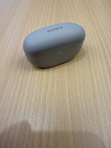 ソニー(SONY) ワイヤレスノイズキャンセリングイヤホン WF-1000XM5