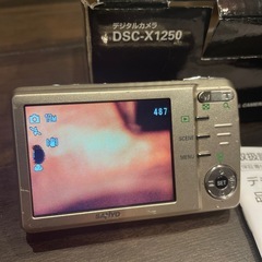 デジカメの画像