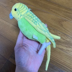 TAKE OFF ★ セキセイインコ　ぬいぐるみ　マスコット　人気の画像