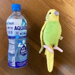 TAKE OFF ★ セキセイインコ　ぬいぐるみ　マスコット　人気の画像