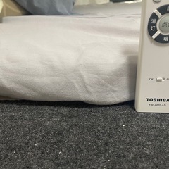 トゥルースリーパーのシングルサイズのマットレスの画像