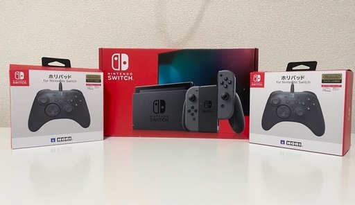 Nintendo Switch 本体 グレー コントローラー付き