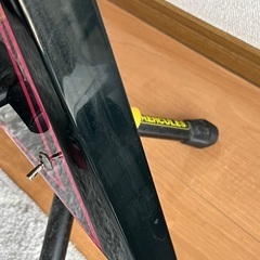 Edwards アレキシVの画像