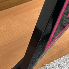 Edwards アレキシVの画像