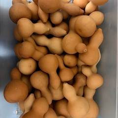 ひょうたんの画像