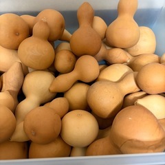 ひょうたんの画像