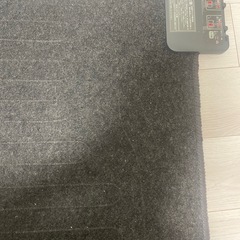 電気カーペットの画像