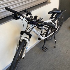 LOUIS GARNEAU（ルイガノ）の画像