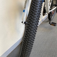 LOUIS GARNEAU（ルイガノ）の画像