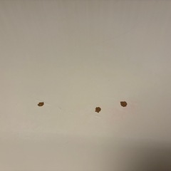 ニトリテーブル
の画像