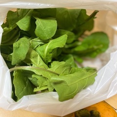 柿　ざくろ　ルッコラ　ラディッシュ　柚子　の画像