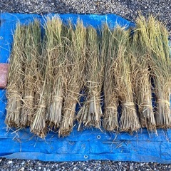 [天日干し　わら］ 10束🌾　② の画像
