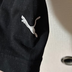 PUMAロンTの画像