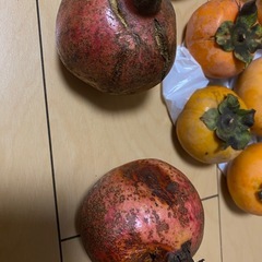 柿　柚子　ざくろの画像