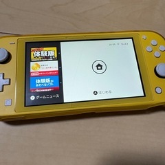 Nintendo Switch Liteの画像