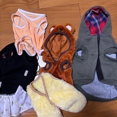 デオシート消臭ラボ・犬グッズまとめ売り
の画像