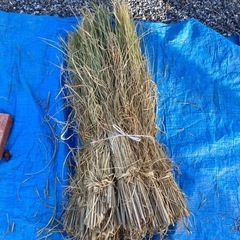 [天日干し　わら］ 10束🌾の画像