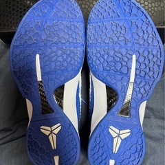 コビー　6 ドージャズの画像