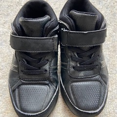 Coleman スノトレの画像