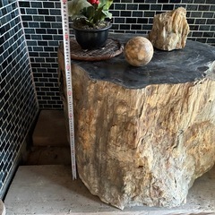 珪化木《木の化石》の画像