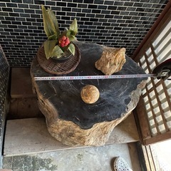 珪化木《木の化石》の画像