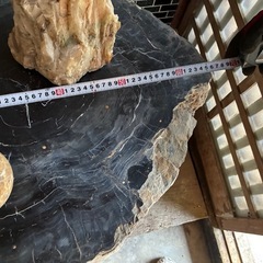 珪化木《木の化石》の画像