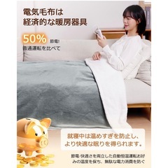 新品未開封 188×130cm 省エネ120W 丸洗いOK 電気毛布 掛け敷き兼用 速暖 節電 10段階温度調整 9Hタイマー付き 電気毛布洗える 恒温加熱 頭寒足熱 ダニ退治 電気敷き毛布 電気掛け毛布 電気ブランケット 防寒対策 肩掛け 膝掛け 厚手生地 ふわふわ 両面使え 暖房器具 日本語取扱説明書付きの画像