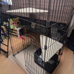 キャットケージの画像